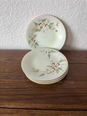 Limoges Porcelain Plates Set of 4 Floral Pattern